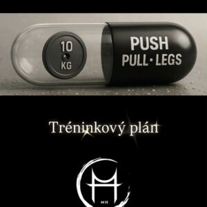 Tréninkový plán push pull legs